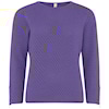 Aster Lila